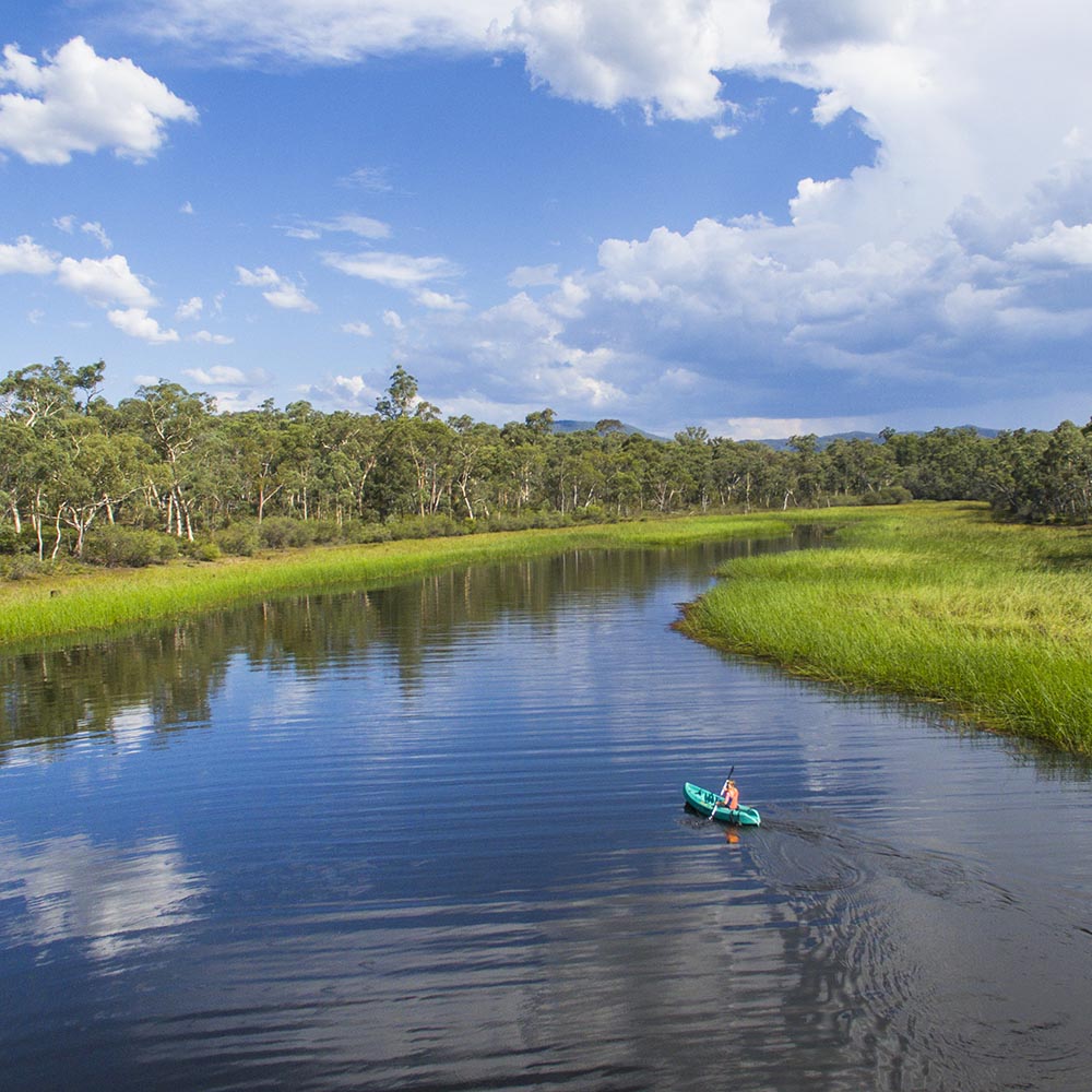 kayaking dunns swamp ganguddy